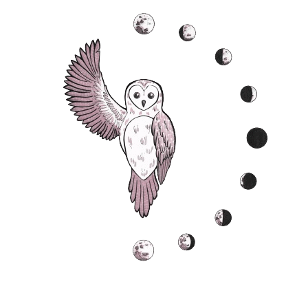 chouette, logo, lune, intuition, renais sens, énergie